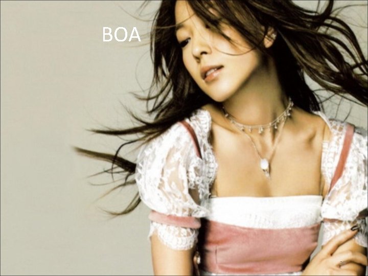 BOA 29 