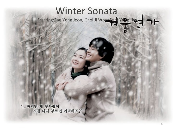 Winter Sonata Starring: Bae Yong Joon, Choi Ji Woo, Park Yong Ha 6 