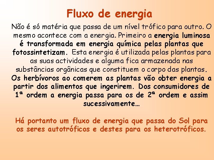 Fluxo de energia Não é só matéria que passa de um nível trófico para
