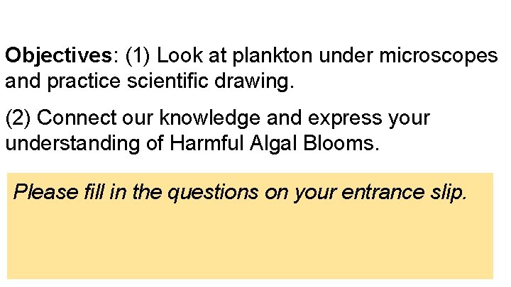 Objectives: (1) Look at plankton under microscopes and practice scientific drawing. (2) Connect our