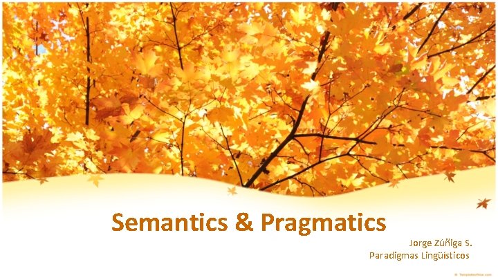 Semantics & Pragmatics Jorge Zúñiga S. Paradigmas Lingüísticos 