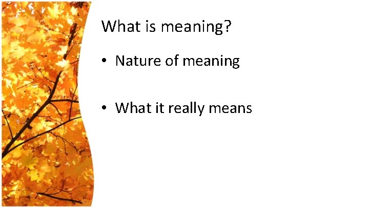 What is meaning? • Nature of meaning • What it really means 