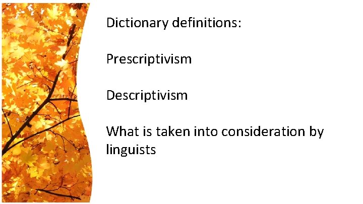 Dictionary definitions: Prescriptivism Descriptivism What is taken into consideration by linguists 