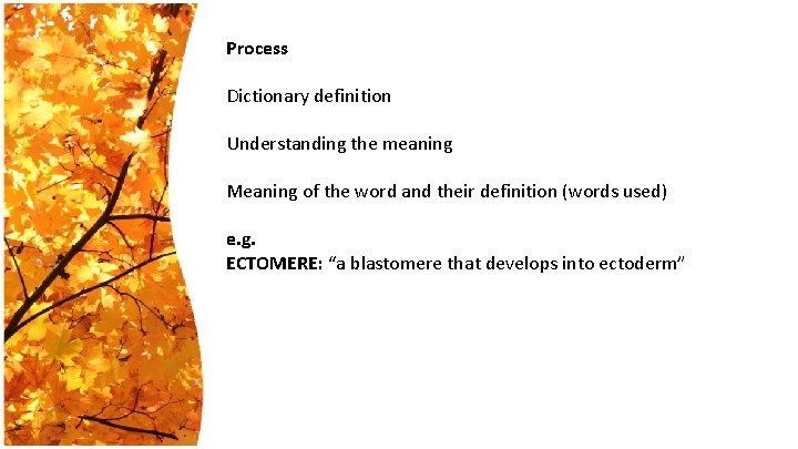 Process Dictionary definition Understanding the meaning Meaning of the word and their definition (words