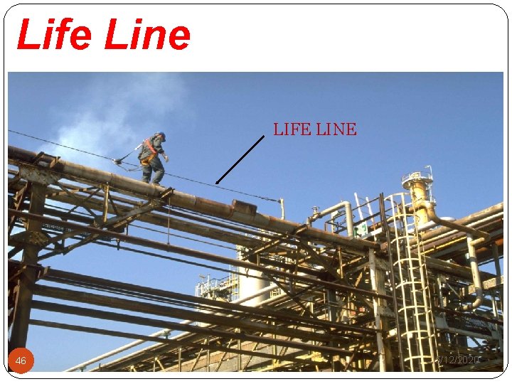 Life Line LIFE LINE 46 5/12/2020 