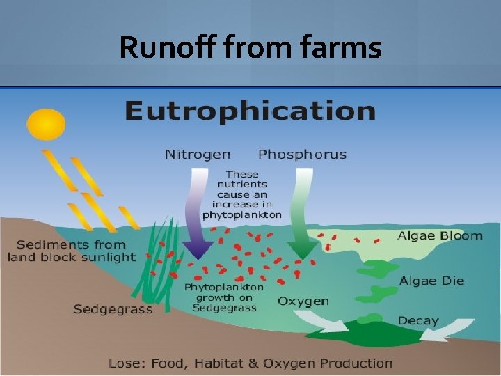 Runoff from farms 