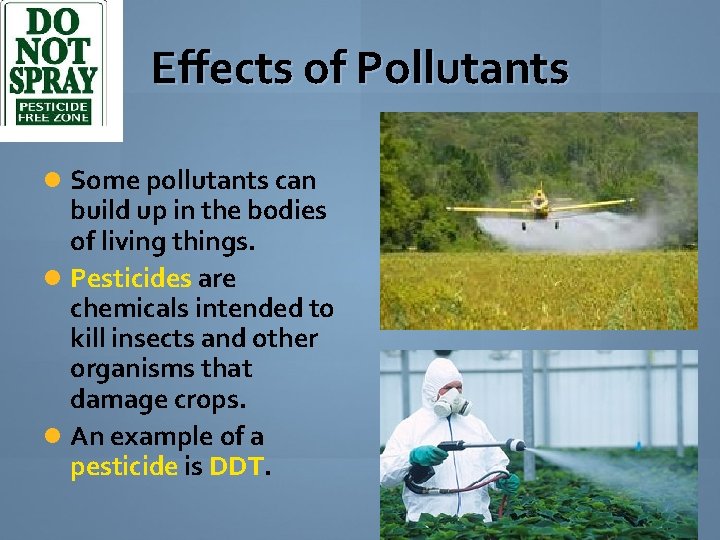 Effects of Pollutants Some pollutants can build up in the bodies of living things.