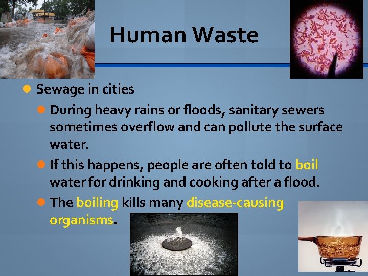 Human Waste Sewage in cities During heavy rains or floods, sanitary sewers sometimes overflow
