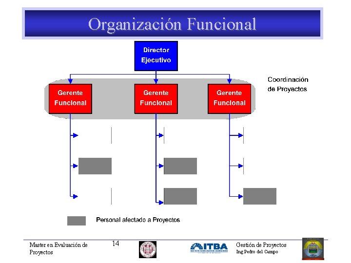 Organización Funcional Master en Evaluación de Proyectos 14 Gestión de Proyectos Ing Pedro del