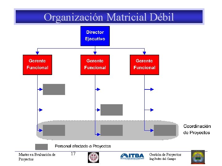 Organización Matricial Débil Master en Evaluación de Proyectos 17 Gestión de Proyectos Ing Pedro