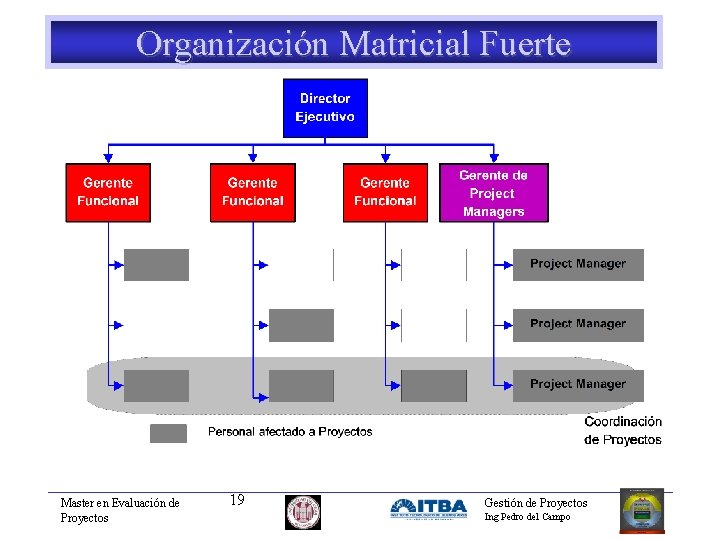 Organización Matricial Fuerte Master en Evaluación de Proyectos 19 Gestión de Proyectos Ing Pedro