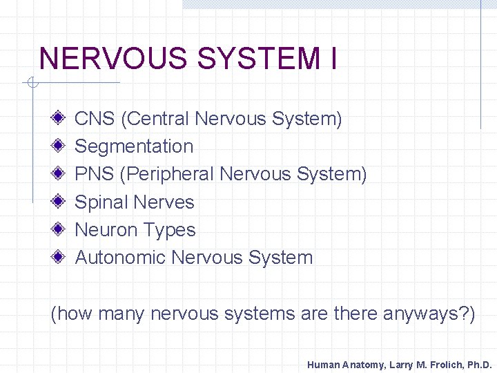 NERVOUS SYSTEM I CNS (Central Nervous System) Segmentation PNS (Peripheral Nervous System) Spinal Nerves