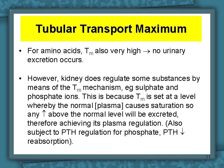 Tubular Transport Maximum • For amino acids, Tm also very high no urinary excretion
