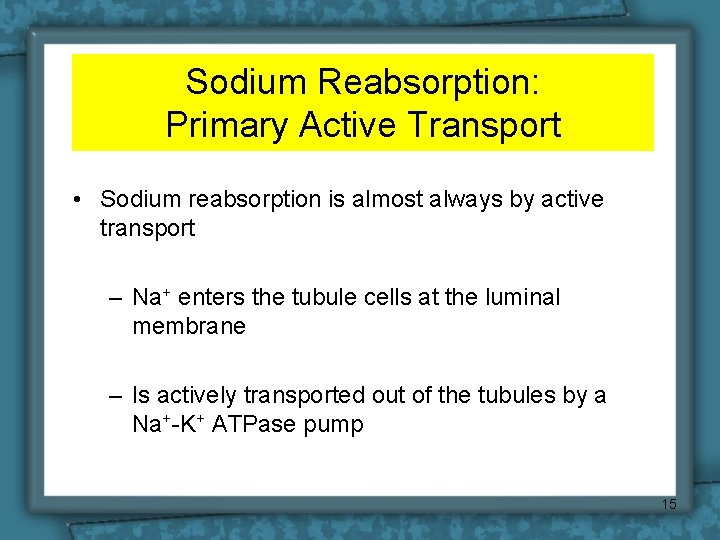 Sodium Reabsorption: Primary Active Transport • Sodium reabsorption is almost always by active transport