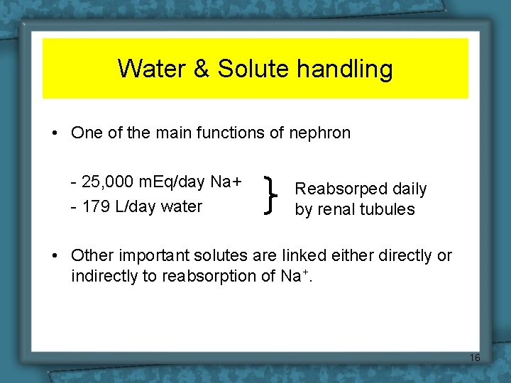 Water & Solute handling • One of the main functions of nephron - 25,