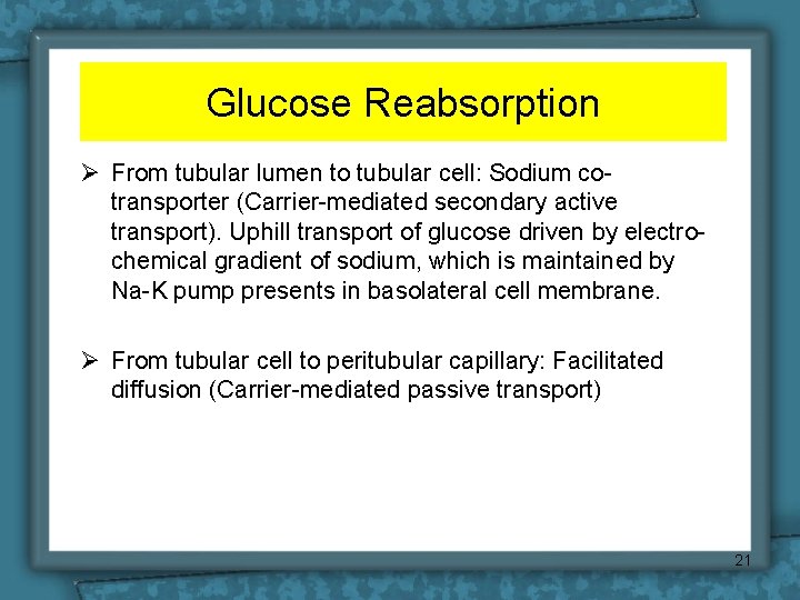 Glucose Reabsorption Ø From tubular lumen to tubular cell: Sodium cotransporter (Carrier-mediated secondary active