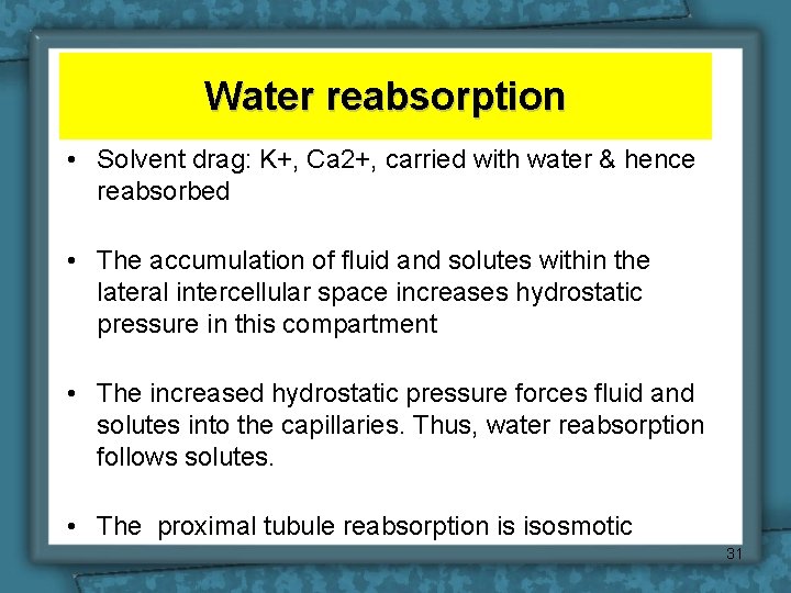 Water reabsorption • Solvent drag: K+, Ca 2+, carried with water & hence reabsorbed