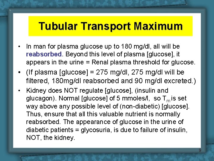 Tubular Transport Maximum • In man for plasma glucose up to 180 mg/dl, all