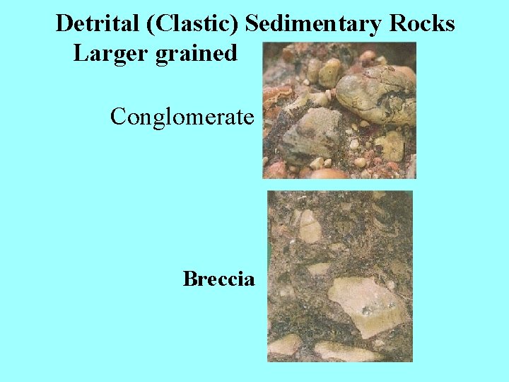 Detrital (Clastic) Sedimentary Rocks Larger grained Conglomerate Breccia 