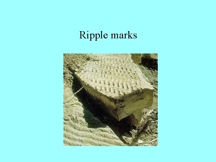 Ripple marks 