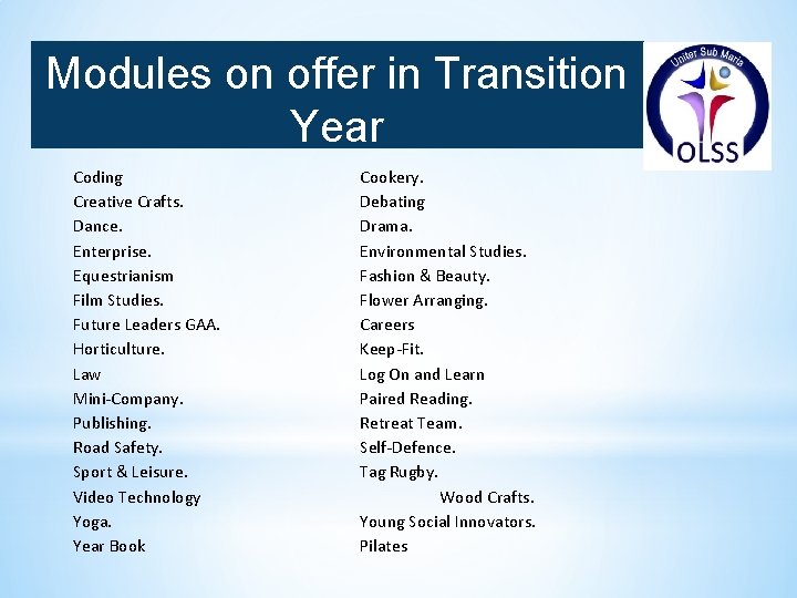 Modules on offer in Transition Year Coding Creative Crafts. Dance. Enterprise. Equestrianism Film Studies.