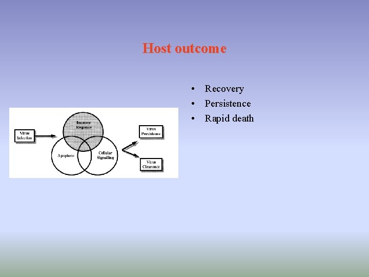 Host outcome • Recovery • Persistence • Rapid death 