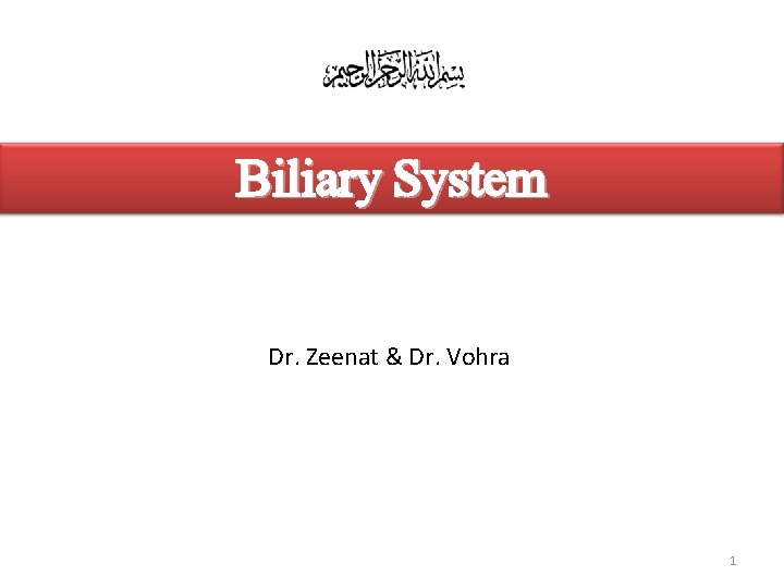 Biliary System Dr. Zeenat & Dr. Vohra 1 