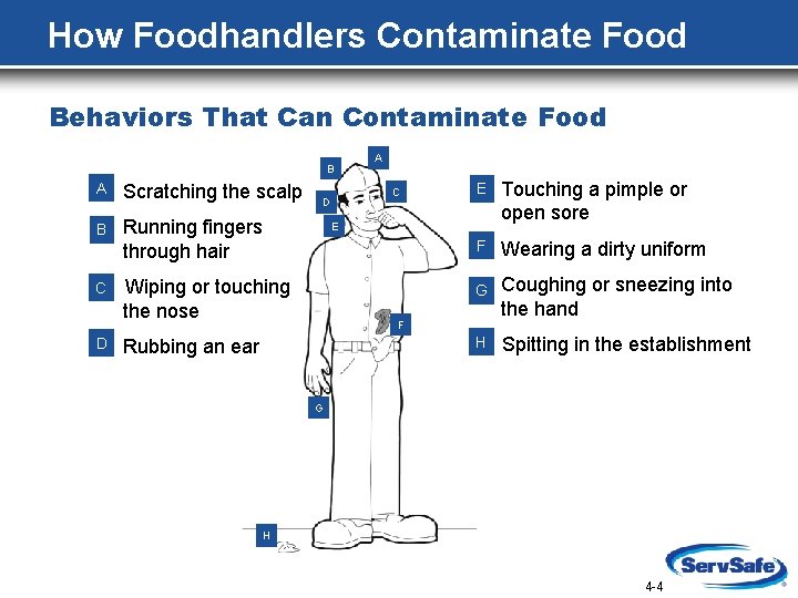 How Foodhandlers Contaminate Food Behaviors That Can Contaminate Food B A Scratching the scalp