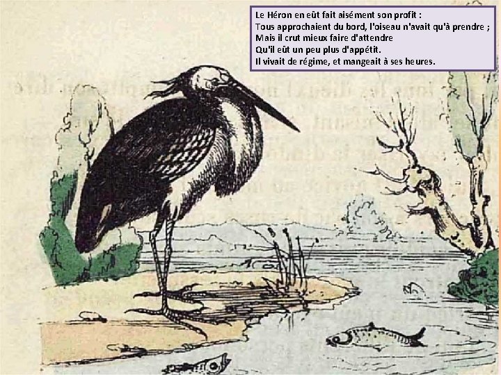 Le Héron en eût fait aisément son profit : Tous approchaient du bord, l'oiseau