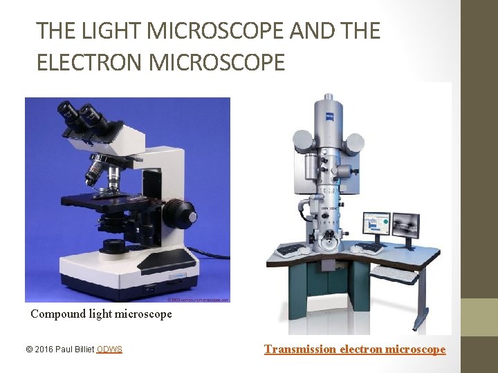 THE LIGHT MICROSCOPE AND THE ELECTRON MICROSCOPE Compound light microscope © 2016 Paul Billiet