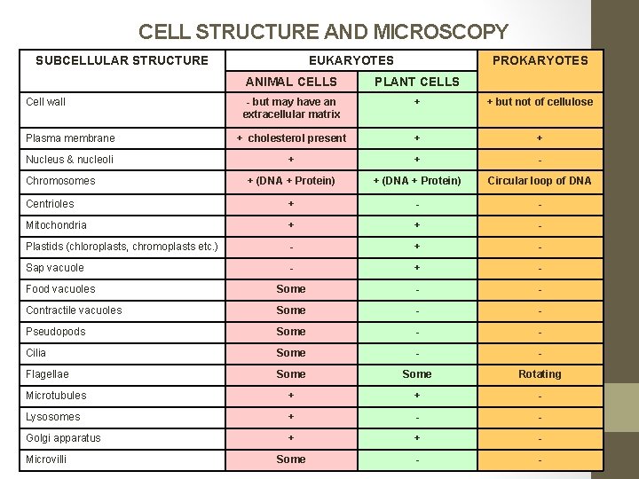 CELL STRUCTURE AND MICROSCOPY SUBCELLULAR STRUCTURE EUKARYOTES PROKARYOTES ANIMAL CELLS PLANT CELLS - but