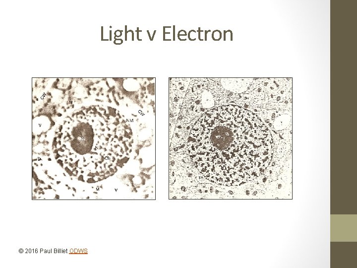 Light v Electron © 2016 Paul Billiet ODWS 