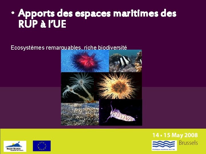  • Apports des espaces maritimes des RUP à l’UE Ecosystèmes remarquables, riche biodiversité