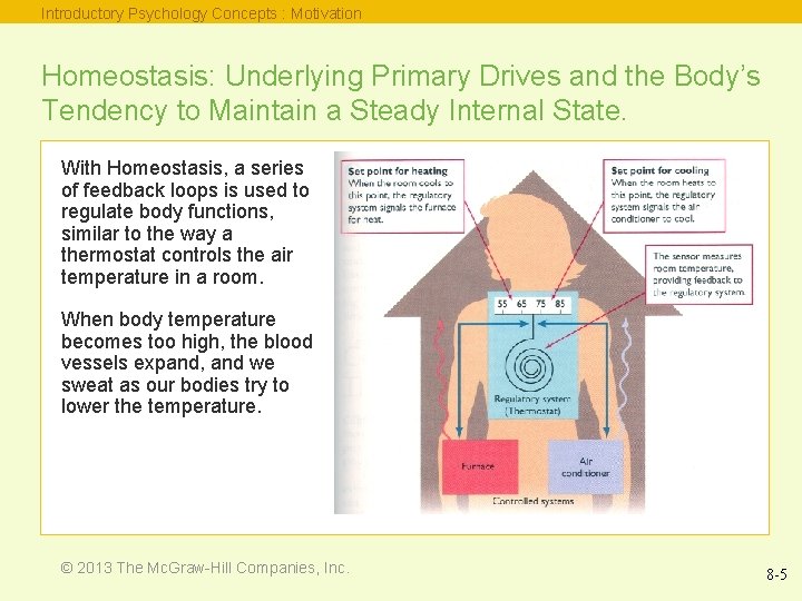 Introductory Psychology Concepts : Motivation Homeostasis: Underlying Primary Drives and the Body’s Tendency to