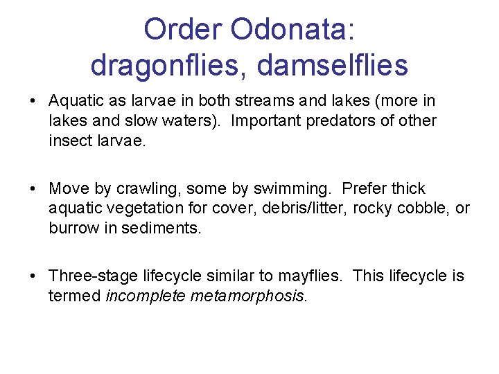 Order Odonata: dragonflies, damselflies • Aquatic as larvae in both streams and lakes (more Order Odonata: dragonflies, damselflies • Aquatic as larvae in both streams and lakes (more