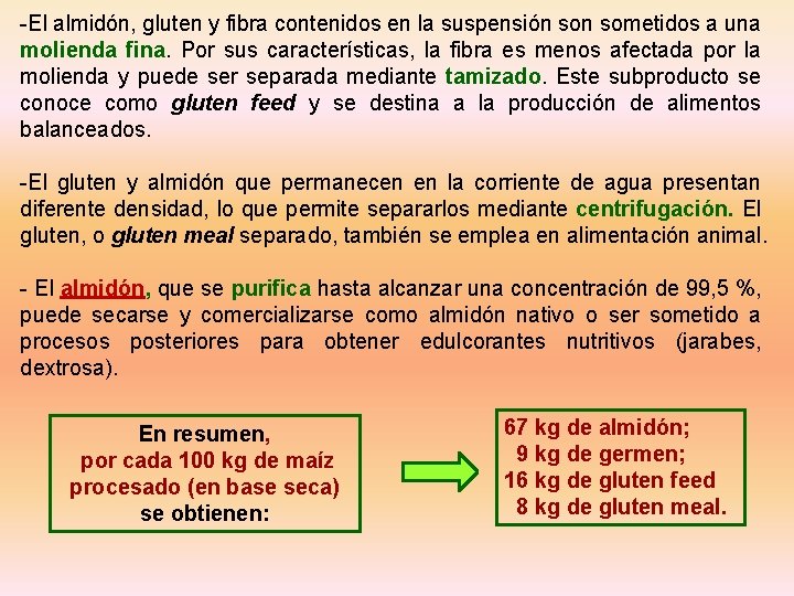 -El almidón, gluten y fibra contenidos en la suspensión sometidos a una molienda fina.