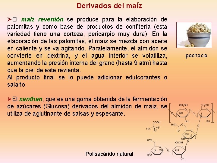 Derivados del maíz ØEl maíz reventón se produce para la elaboración de palomitas y