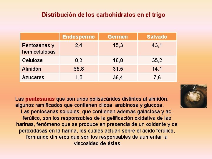 Distribución de los carbohidratos en el trigo Endospermo Germen Salvado Pentosanas y hemicelulosas 2,