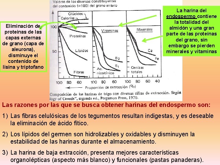 La harina del endospermo contiene la totalidad del almidón y una gran parte de