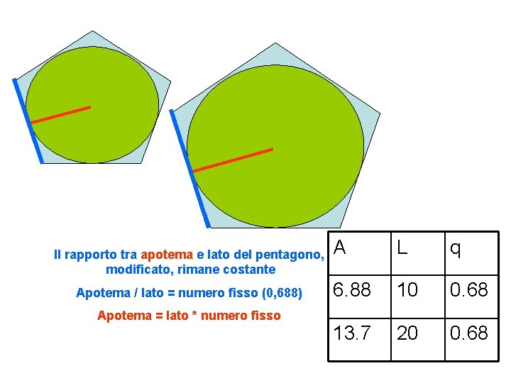 Il rapporto tra apotema e lato del pentagono, modificato, rimane costante Apotema / lato