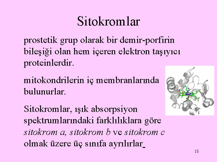 Sitokromlar prostetik grup olarak bir demir-porfirin bileşiği olan hem içeren elektron taşıyıcı proteinlerdir. mitokondrilerin