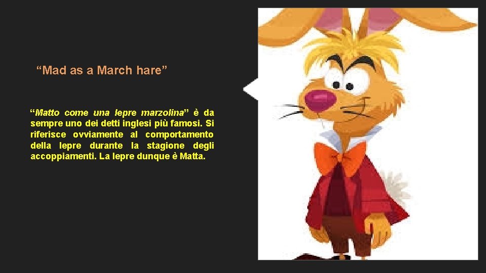 “Mad as a March hare” “Matto come una lepre marzolina” è da sempre uno