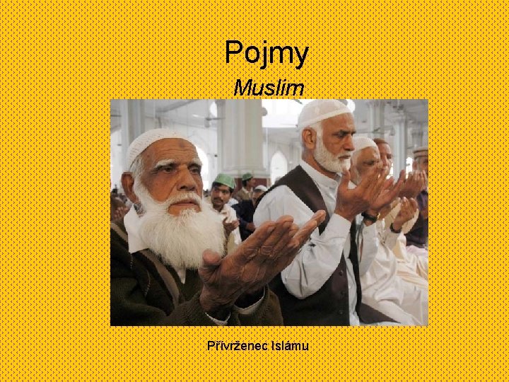 Pojmy Muslim Přívrženec Islámu 