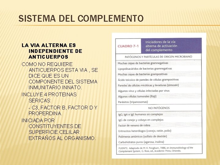 SISTEMA DEL COMPLEMENTO LA VIA ALTERNA ES INDEPENDIENTE DE ANTICUERPOS COMO NO REQUIERE ANTICUERPOS