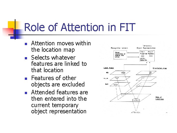 Role of Attention in FIT n n Attention moves within the location map Selects