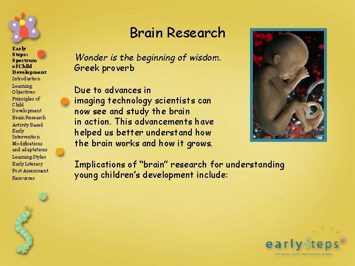 Brain Research Early Steps: Spectrum of Child Development Introduction Learning Objectives Principles of Child