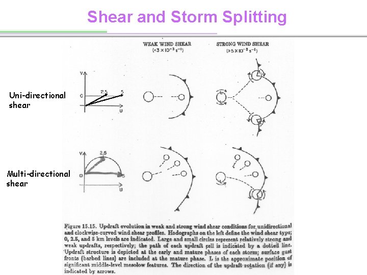Shear and Storm Splitting Uni-directional shear Multi-directional shear 