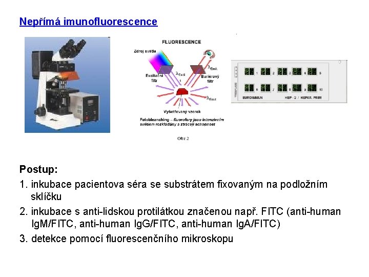 Nepřímá imunofluorescence Postup: 1. inkubace pacientova séra se substrátem fixovaným na podložním sklíčku 2.