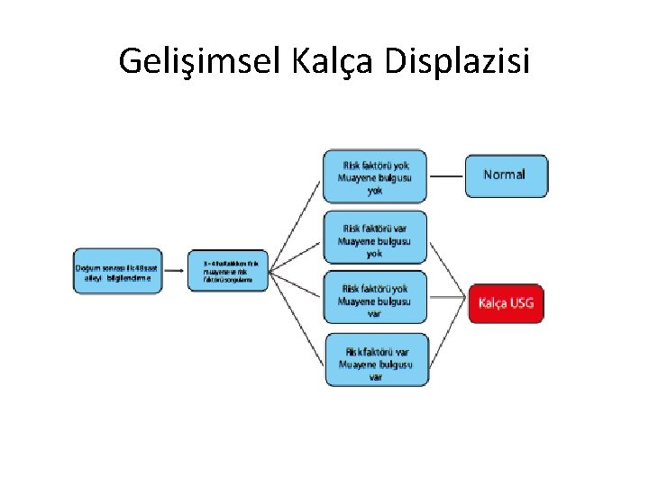 Gelişimsel Kalça Displazisi 