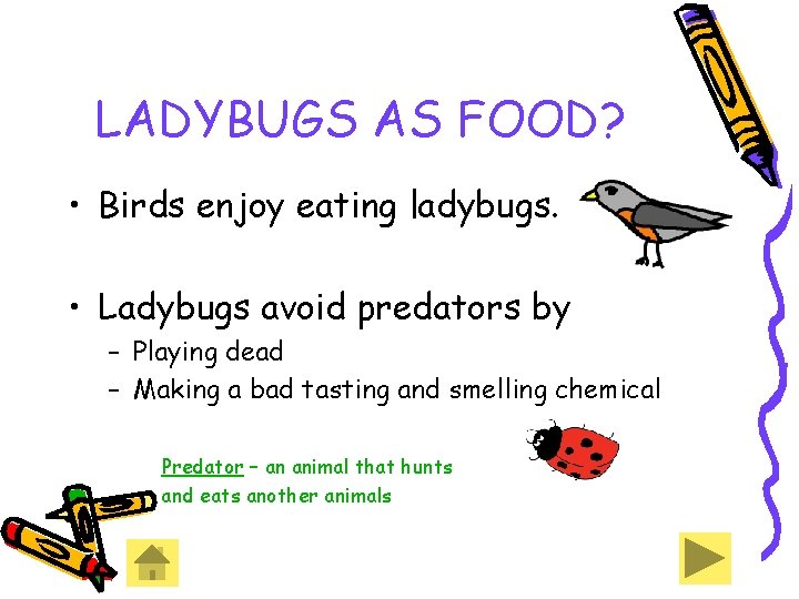 LADYBUGS AS FOOD? • Birds enjoy eating ladybugs. • Ladybugs avoid predators by – LADYBUGS AS FOOD? • Birds enjoy eating ladybugs. • Ladybugs avoid predators by –